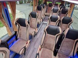 MERCEDES-BENZ 519 und 517 Glasdach XXL  20 Sitze Stock