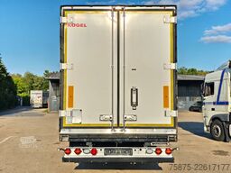 KÖGEL S 24-4 *Carrier Vector 1550 *2.166 Dieselstunden