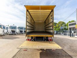MAN TGM 18.250 BL + DHOLLANDIA 2T.