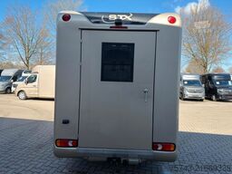 RENAULT Master STX Haras  5 Sitzer