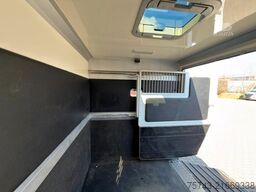 RENAULT Master STX Haras  5 Sitzer