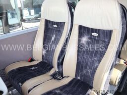 Van Hool EX17 H / 17RHD / 517HD/ R08
