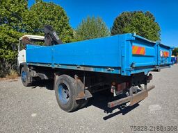 MERCEDES-BENZ Ecoliner 1317 / Kipper - Kran Hiab 090