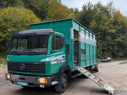 MERCEDES-BENZ 817L D VIEHLKW FÜR 7 KÜHE