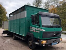 MERCEDES-BENZ 817L D VIEHLKW FÜR 7 KÜHE