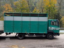 MERCEDES-BENZ 817L D VIEHLKW FÜR 7 KÜHE