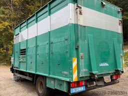 MERCEDES-BENZ 817L D VIEHLKW FÜR 7 KÜHE