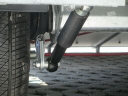 NIEWIADOW Derby M Pferdeanhänger 310x174x230 2000kgGG