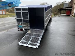 TwinTrailer Kipper & Transporter TR3540 402x192cm Höhe: 140cm 3,5t.