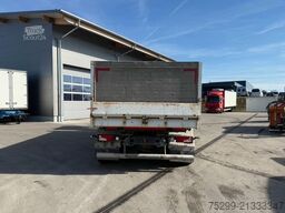 Scania G490 10x4*6 SWS 3SK / Mischer Kavitation