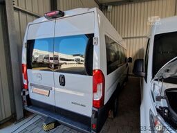 FIAT Ducato Opel Movano bis 18 SS  in Stock