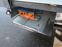 Scania P280 Euro 5 frigo Meatrails Rohr Viande Carne