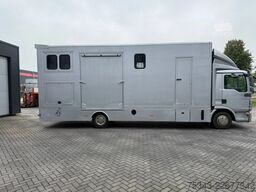 MAN | Horse Truck | Year: 2011 | KM: 312.257 | 5 Ho...