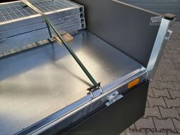 Saris K3 406 204 HD elektro Blattfeder 3500kg