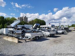 Saris K3 406 204 HD elektro Blattfeder 3500kg