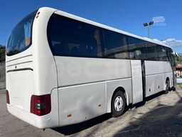 MAN Lion's Coach