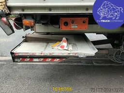 DAF LF 55 250
