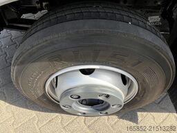 MAN TGL 8.220 Jumbo Gardine