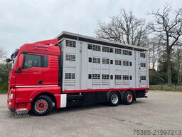MAN TGX 26.440 6x2/4 Menke Livestock Veewagen Gross...