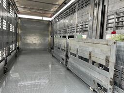 MAN TGX 26.440 6x2/4 Menke Livestock Veewagen Gross...