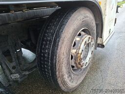 MAN TGS 26.440 GAS / LPG