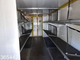 IVECO DAILY 50 C 15 Postkoffer REGALSYSTEM