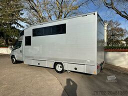 Iveco Daily 2 Pferde Automatik, AHK