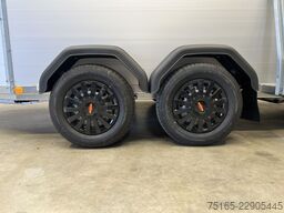 Böckmann Champion Esprit P MSS Pferdeanhänger