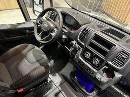 CARADO CV 541 Fiat 140PS Automat