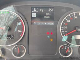 MAN TGS 18.470 4x4 Blatt/Blatt-Manual-E6d-AP Achsen