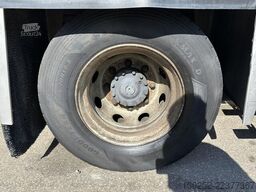 Volvo FL 240 14T - 4x2 - FRIGO THERMOKING SPECTRUM T-...