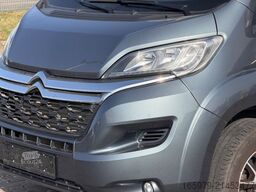 GIOTTILINE Therry T37