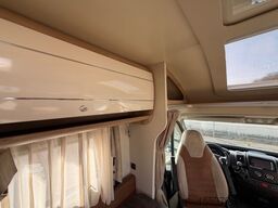 GIOTTILINE Therry T37