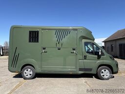 Opel Movano AKX Hengstausstattung Automatik