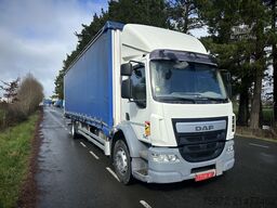 DAF LF 290 EURO 6 TAULINER 19T