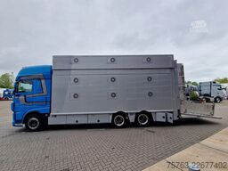 DAF XF 510 6x2 SuperSpaceCab - Livestock Cuppers 3 ...