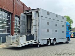 DAF XF 510 6x2 SuperSpaceCab - Livestock Cuppers 3 ...