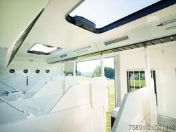 MAN Pferdetransporter TGM 15.250 Automatik 4-5 Pferde