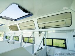 MAN Pferdetransporter TGM 15.250 Automatik 4-5 Pferde