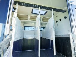 MAN Pferdetransporter TGM 15.250 Automatik 4-5 Pferde