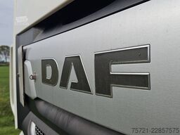 DAF XF 480