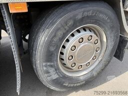 Scania P 500 10x4 3-SK Trösch / Swiss-Vehicle