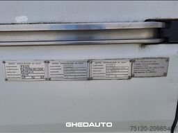 FIAT Ducato 250 30 E5 2011 - Ducato 30 CH2 2.0 mjt 115cv vetrato - FRIGO