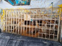  De Buf Beton-Mischer 9m³/Sermac 24m Betonpumpe