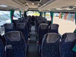 TEMSA 8 units Prestij SX,Novo Lux, Daily, Atego