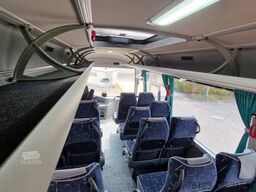 TEMSA 8 units Prestij SX,Novo Lux, Daily, Atego