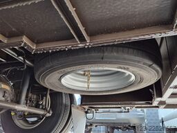 TEMSA 8 units Prestij SX,Novo Lux, Daily, Atego