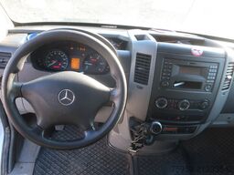 Mercedes Benz 316 CDI KA Maxi Klima AHK defekt