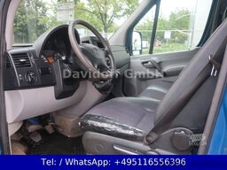 MERCEDES-BENZ Nr.120 Sprinter 513CDI 1.Hand / Werkstatt / DoKa