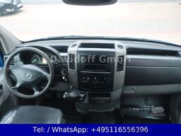 MERCEDES-BENZ Nr.120 Sprinter 513CDI 1.Hand / Werkstatt / DoKa